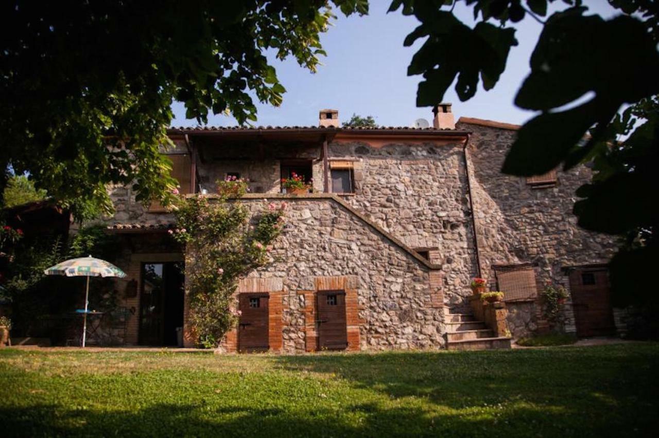 Podere Porcino Чивителла-Д'Альяно Экстерьер фото