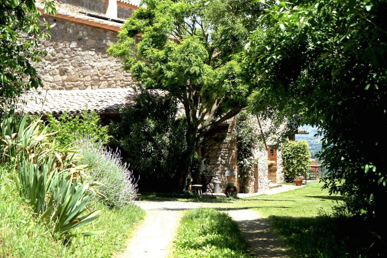 Podere Porcino Чивителла-Д'Альяно Экстерьер фото